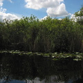2003_10_11_Fishing_in_the_Everglades_054.jpg